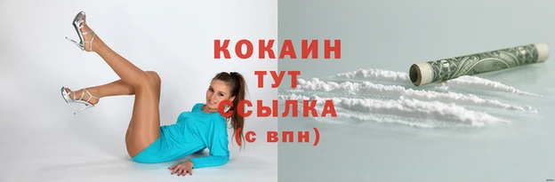 индика Абинск