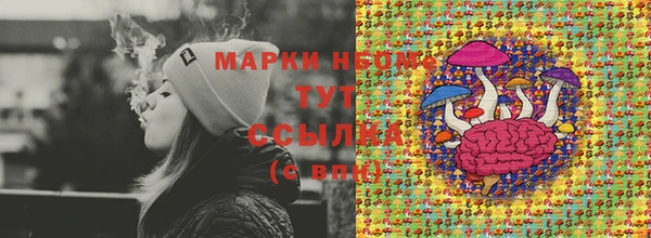 индика Абинск
