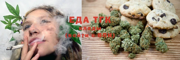индика Абинск