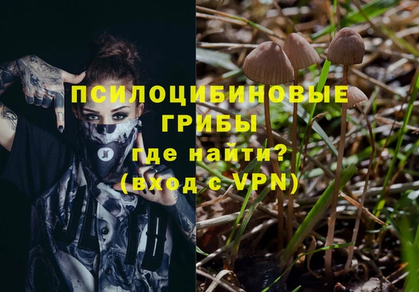 индика Абинск